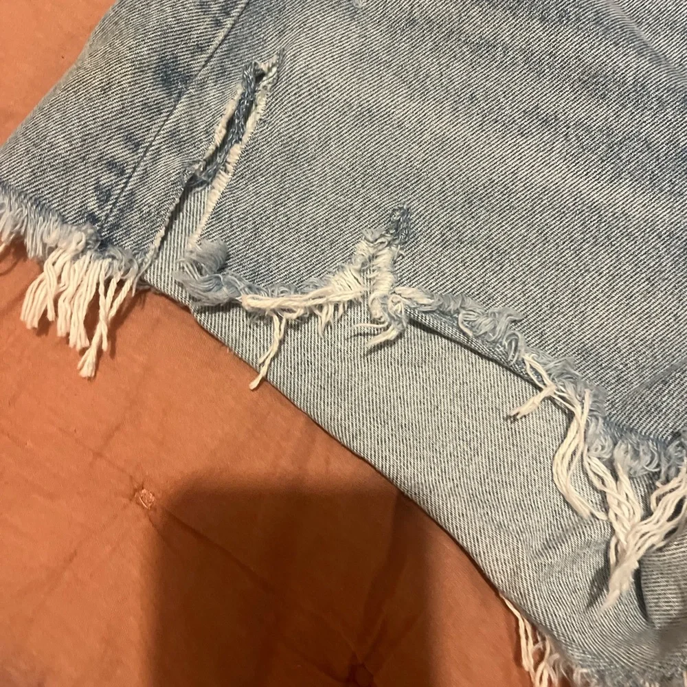 Agolde Parker Denim Jean Shorts